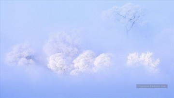 De Photos réalistes œuvres - photographie réaliste 10 paysage d’hiver